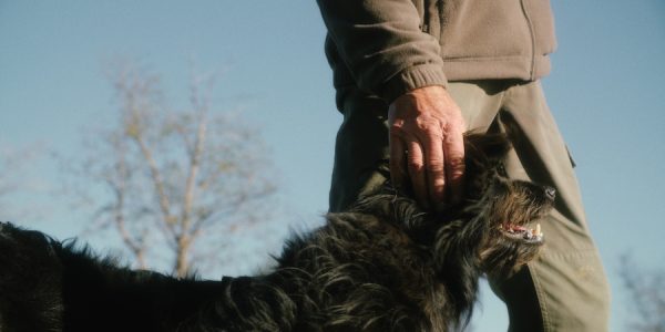 Pere Puigbert premi al millor documental amb “El vent que ens mou”