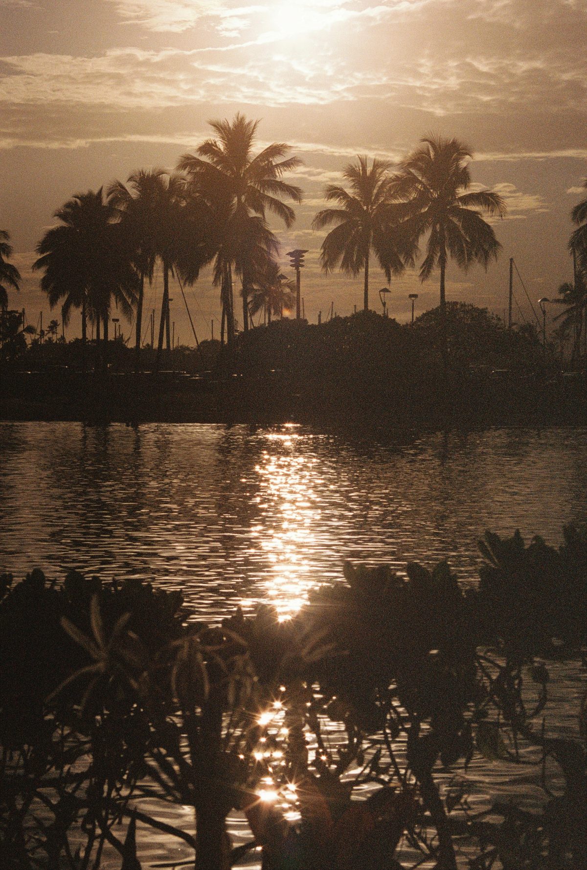 Fotografia feta per Andrea Esteva
