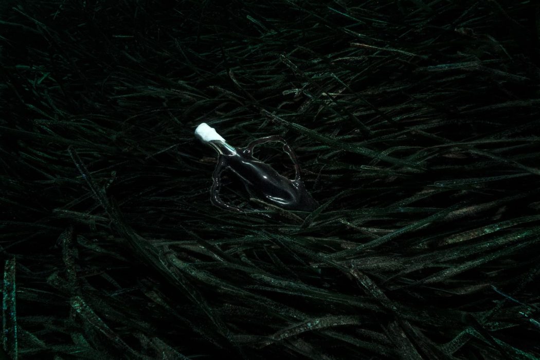 Sessió fotos "Divino"